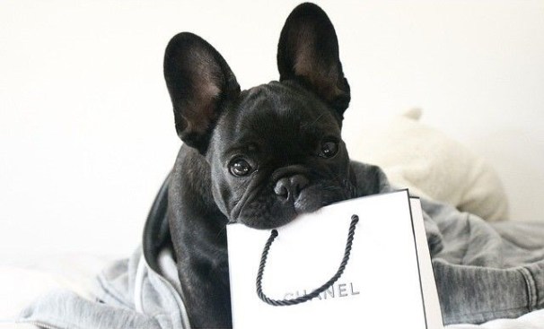 03f4caebd834fe5ca75add4cbfb08584